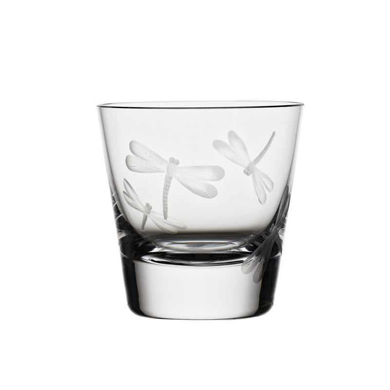 Fly Fusion Dragonfly