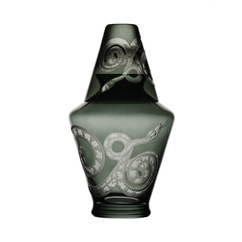 Cabinet of Curiosities Snake