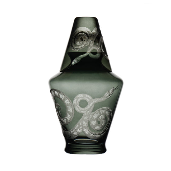 Cabinet of Curiosities Snake