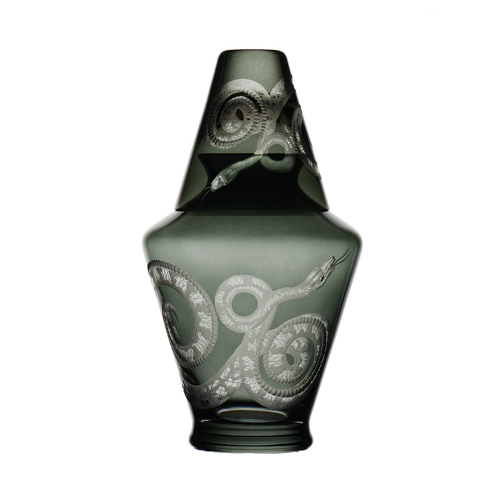 Cabinet of Curiosities Snake