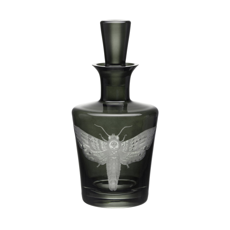 Cabinet of Curiosities Butterfly