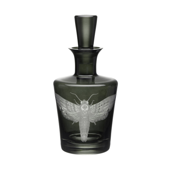 Cabinet of Curiosities Butterfly