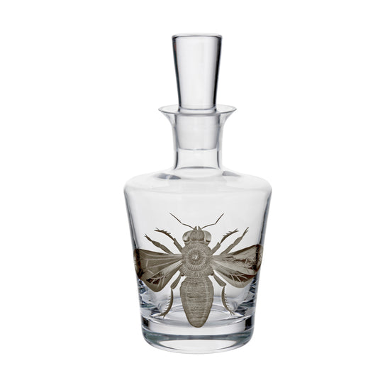 Cabinet of Curiosities Imperial Bee