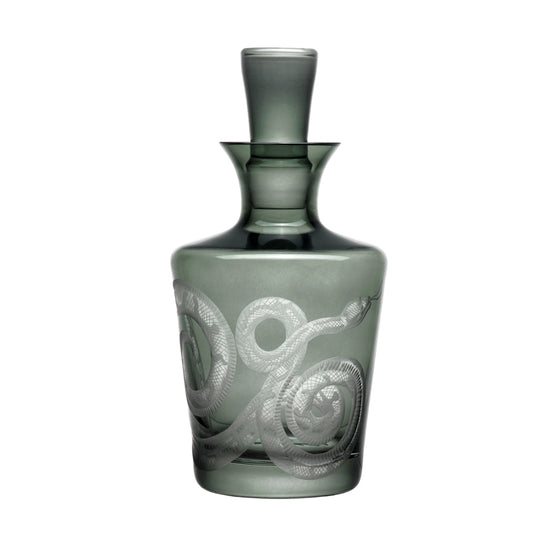 Cabinet of Curiosities Snake