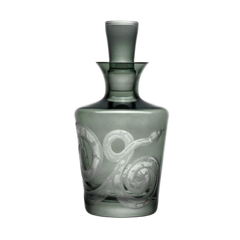 Cabinet of Curiosities Snake