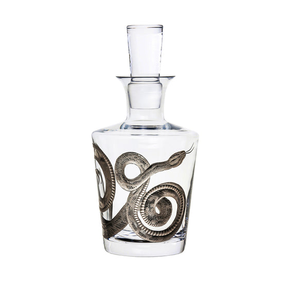 Cabinet of Curiosities Snake