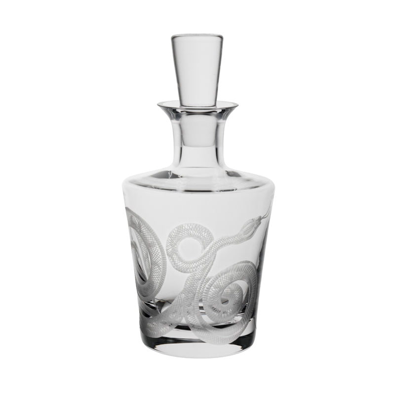 Cabinet of Curiosities Snake