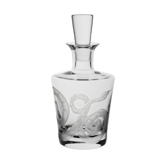 Cabinet of Curiosities Snake