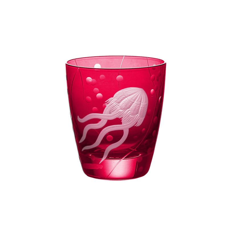 Sea Life Jellyfish