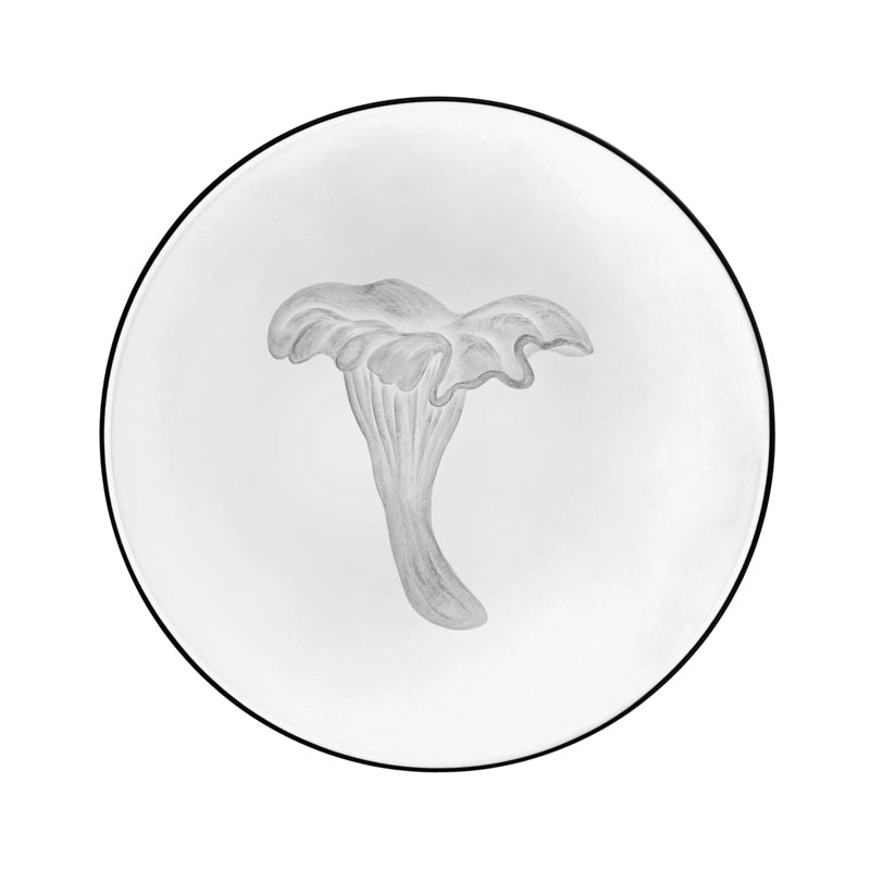 Mushrooms Chanterelle