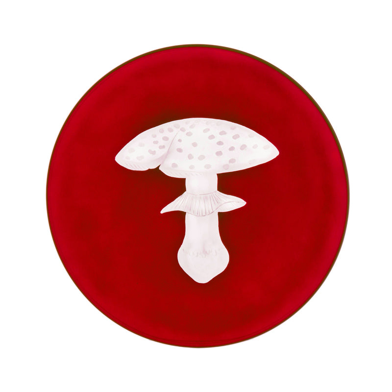 Mushrooms Fly Amanita