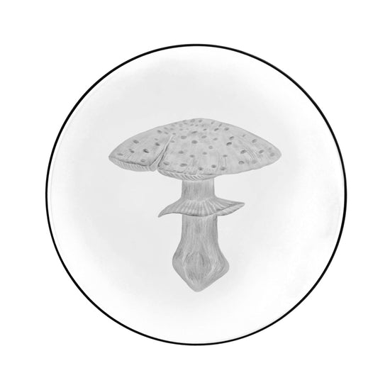 Mushrooms Fly Amanita