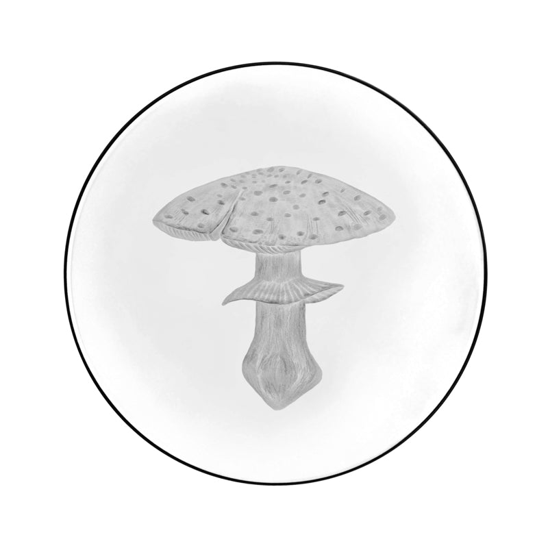 Mushrooms Fly Amanita