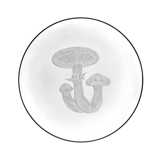 Mushrooms Honey Fungus