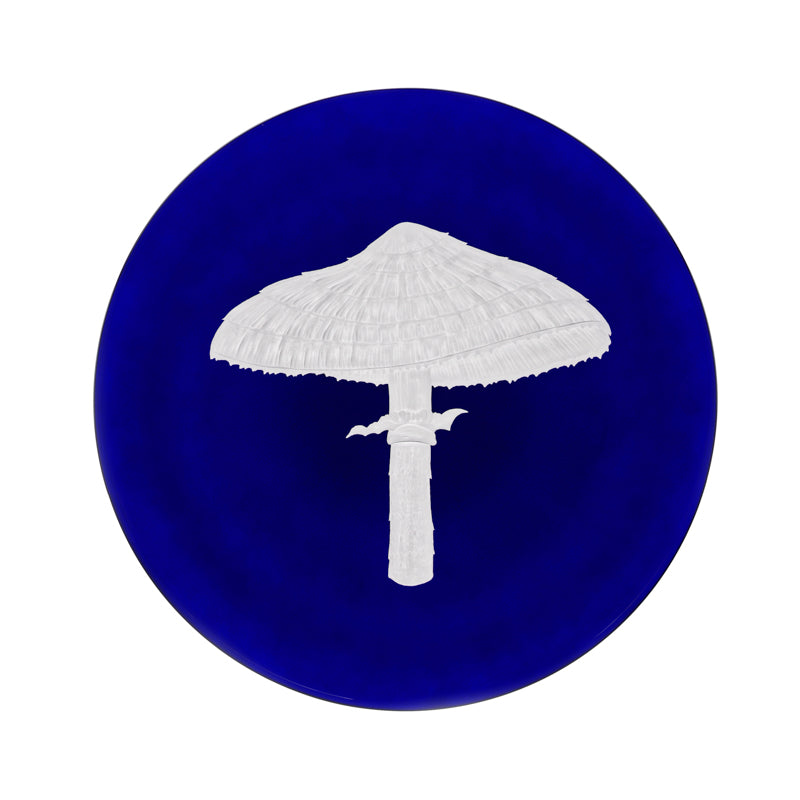 Mushrooms Parasol