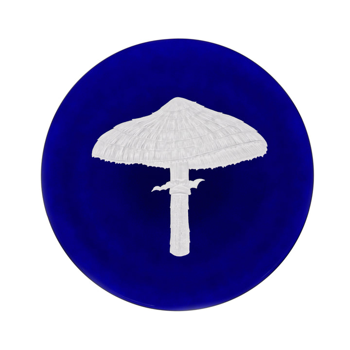 Mushrooms Parasol