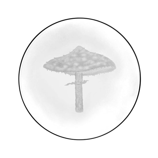 Mushrooms Parasol