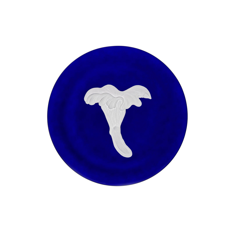 Mushrooms Chanterelle