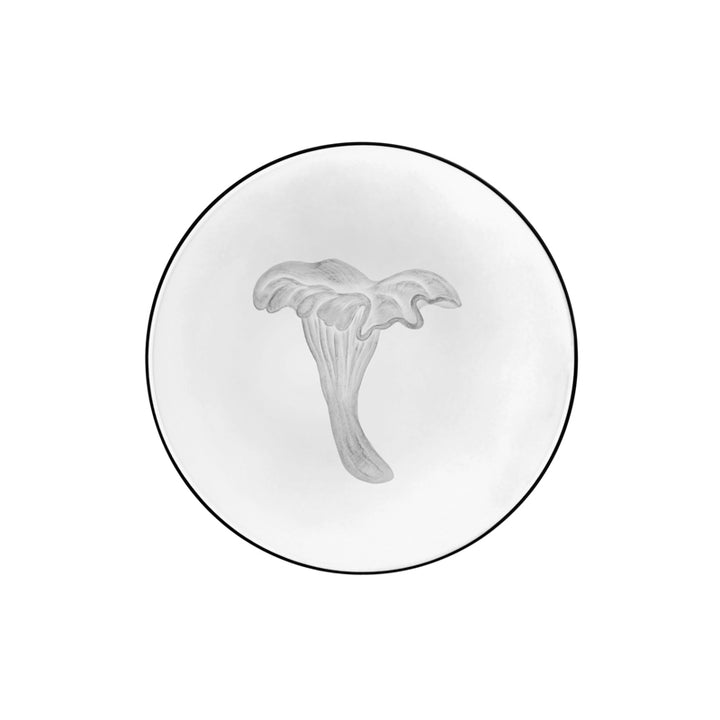 Mushrooms Chanterelle