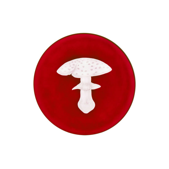 Mushrooms Fly Amanita