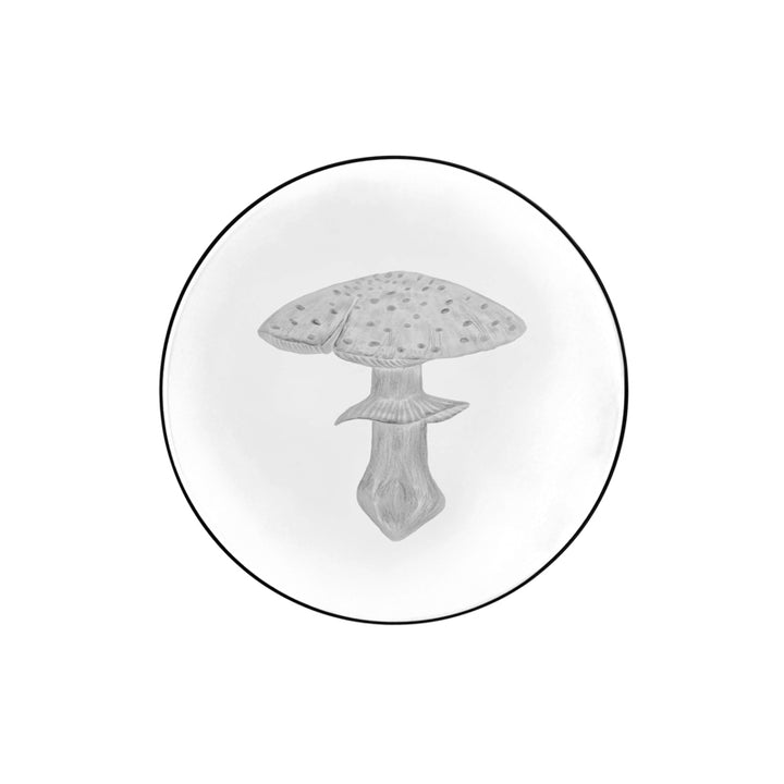 Mushrooms Fly Amanita