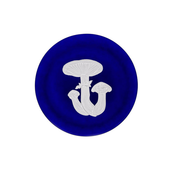 Mushrooms Honey Fungus