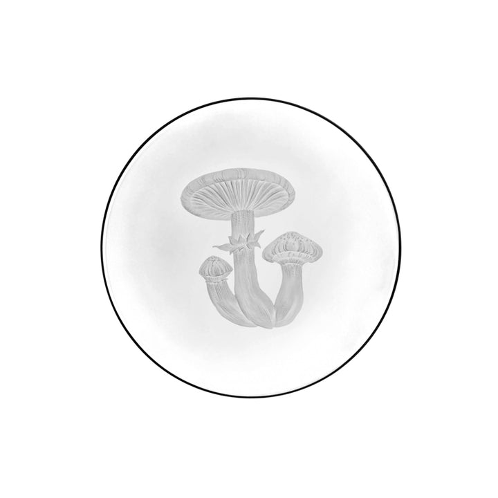 Mushrooms Honey Fungus