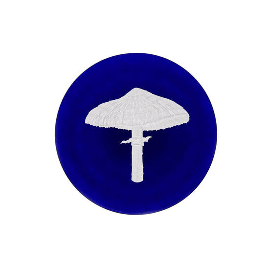 Mushrooms Parasol