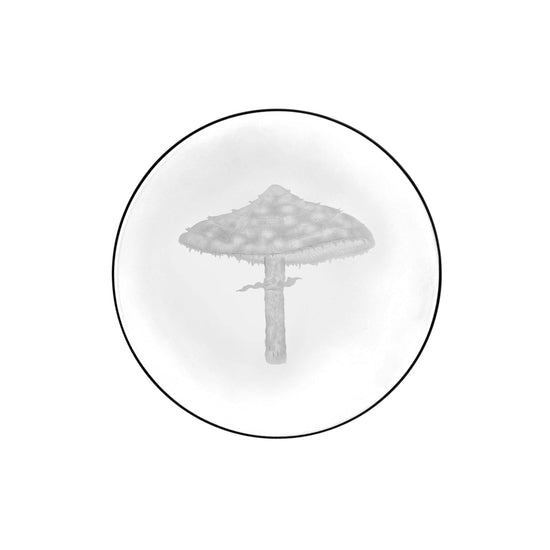 Mushrooms Parasol