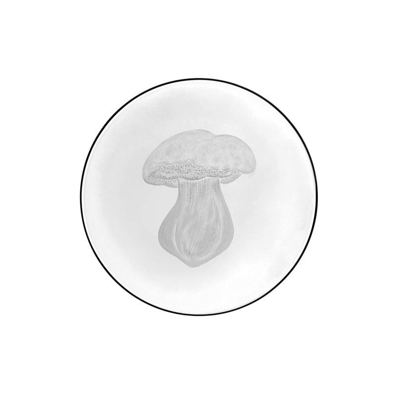 Mushrooms Summer Cep