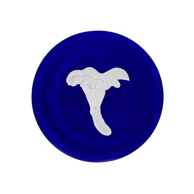 Mushrooms Chanterelle