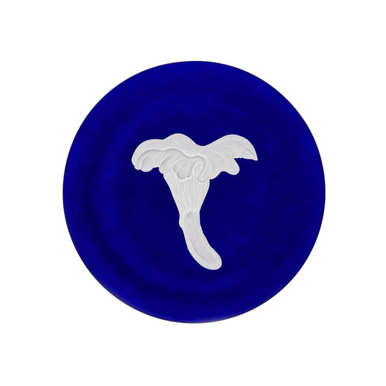 Mushrooms Chanterelle