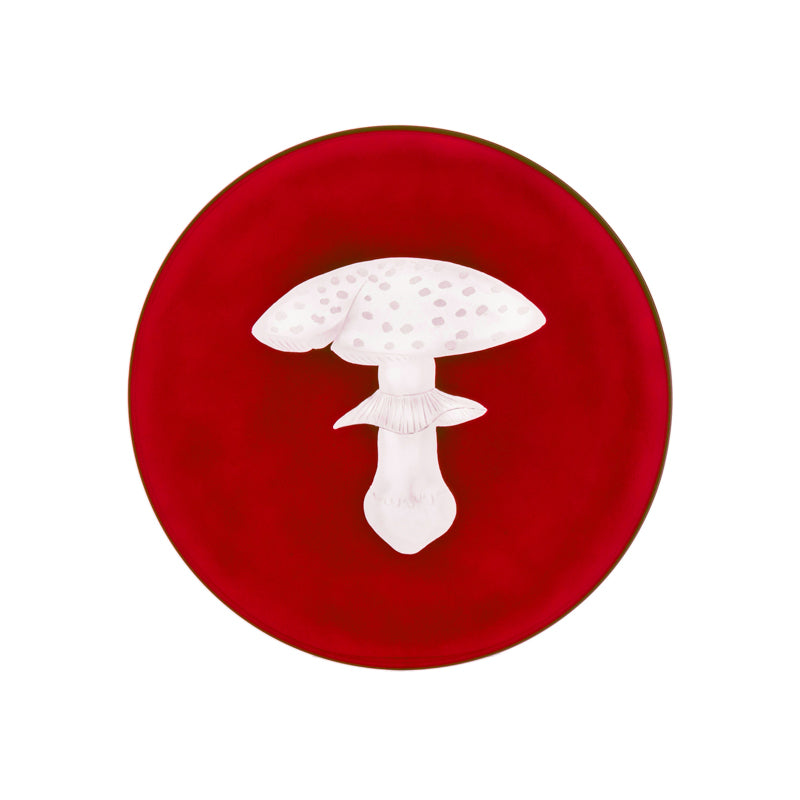 Mushrooms Fly Amanita