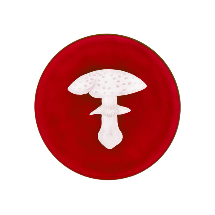 Mushrooms Fly Amanita