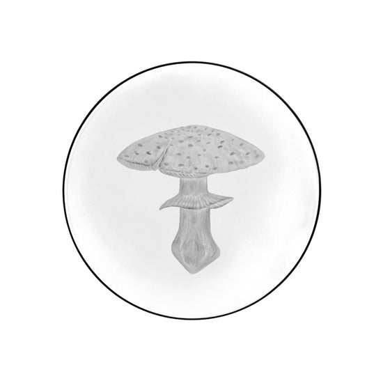 Mushrooms Fly Amanita