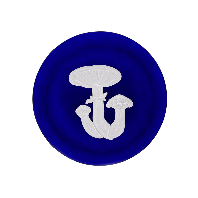 Mushrooms Honey Fungus