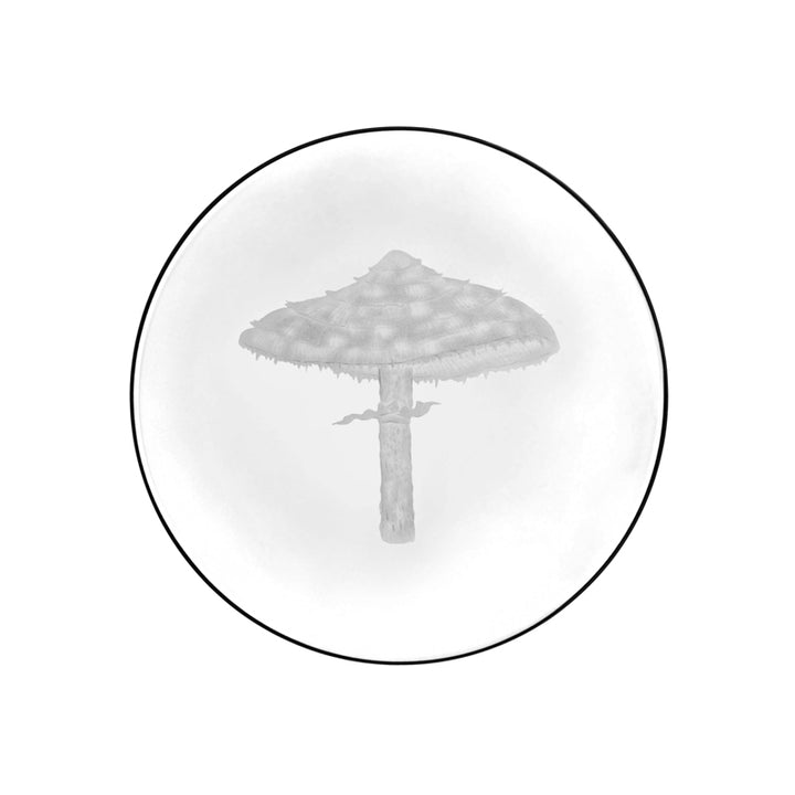 Mushrooms Parasol