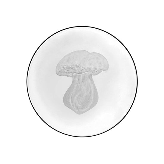 Mushrooms Summer Cep