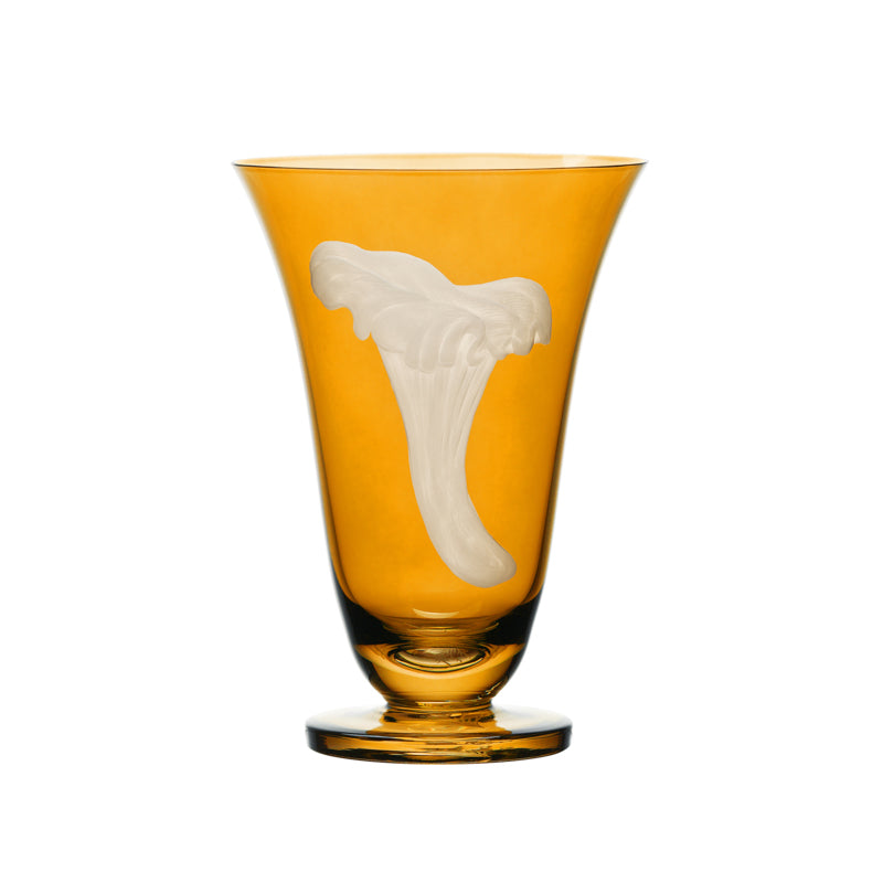 Mushrooms Chanterelle