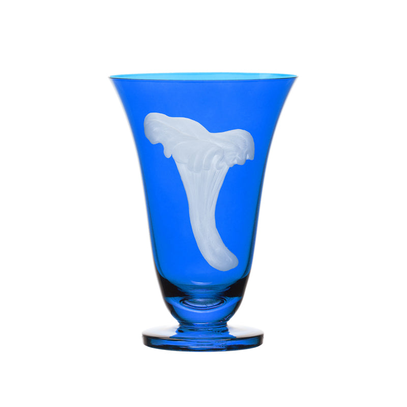 Mushrooms Chanterelle