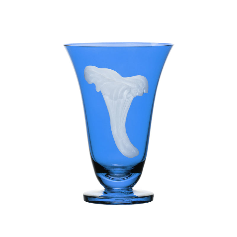 Mushrooms Chanterelle