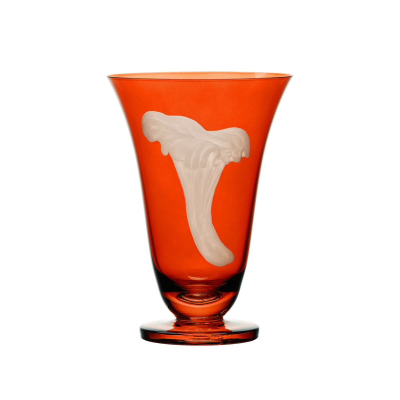 Mushrooms Chanterelle