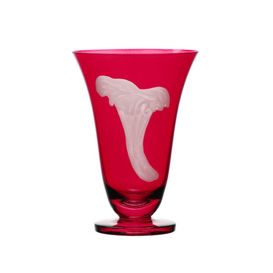 Mushrooms Chanterelle