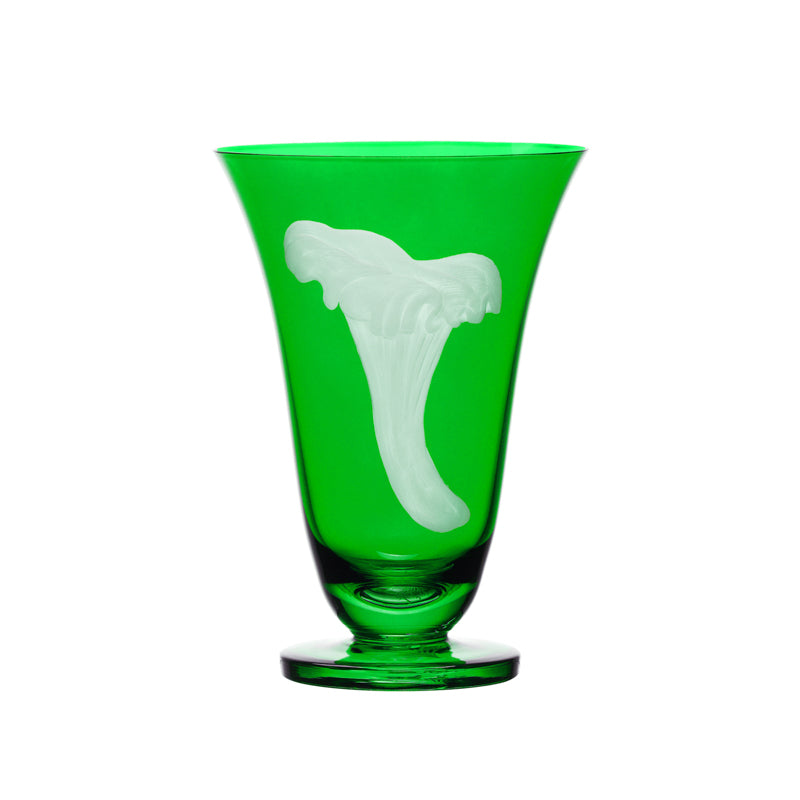 Mushrooms Chanterelle