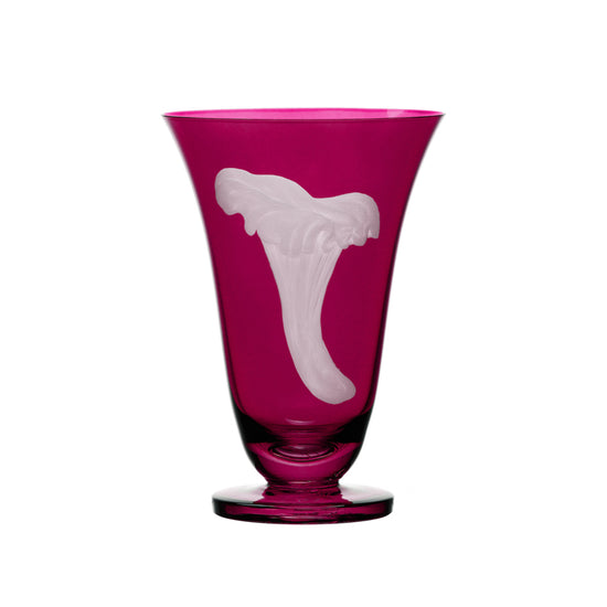 Mushrooms Chanterelle