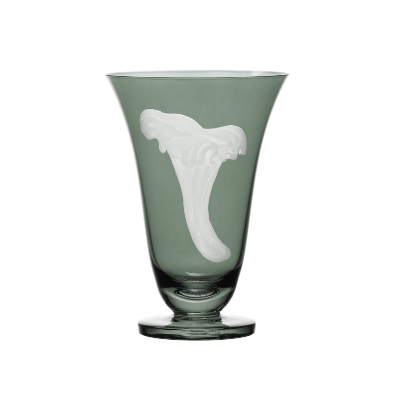 Mushrooms Chanterelle