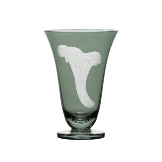 Mushrooms Chanterelle