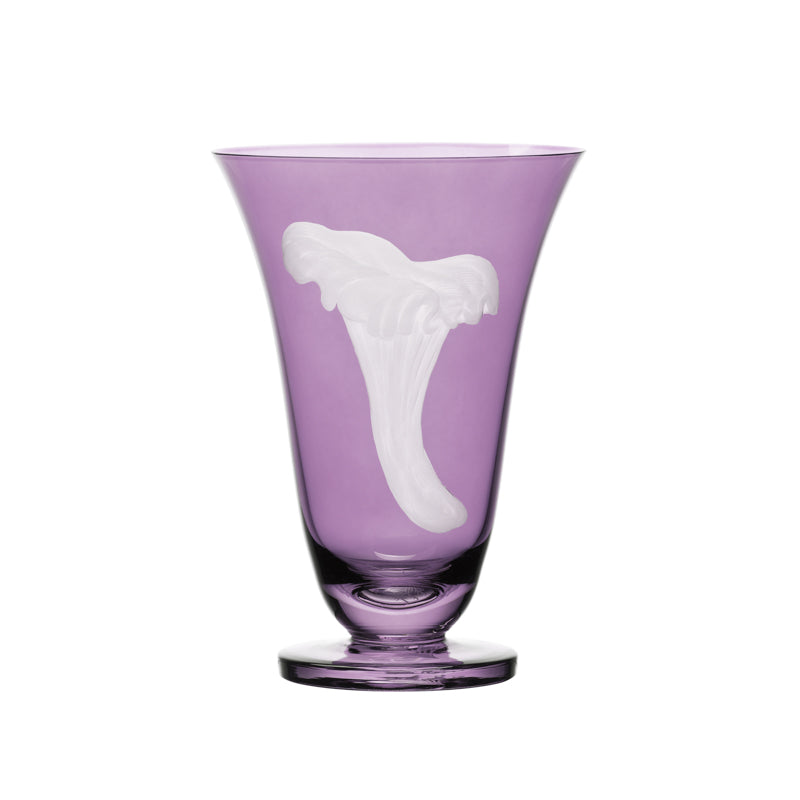 Mushrooms Chanterelle