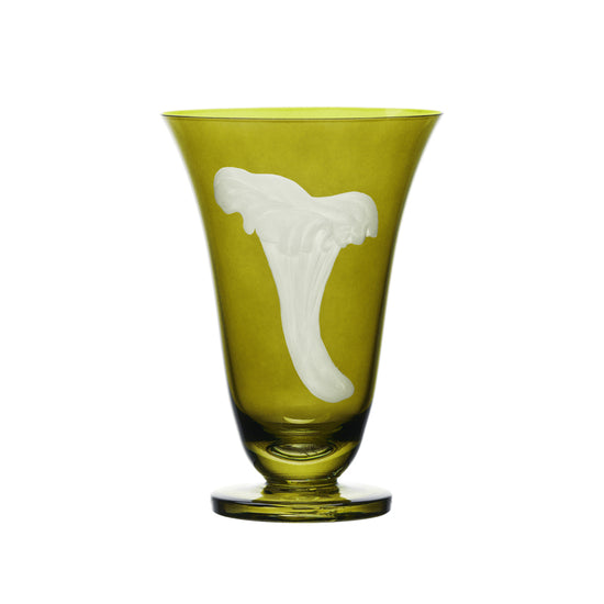 Mushrooms Chanterelle