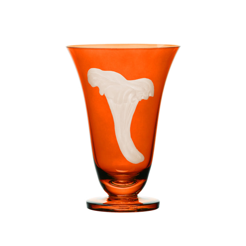 Mushrooms Chanterelle